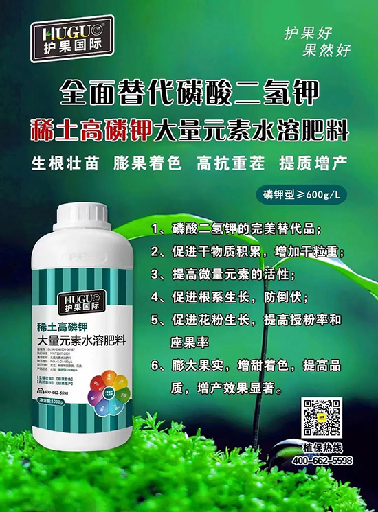 ⛷ʴ�q�r(ji��)���@�N⛷����(sh��)����������������⛣���ռ���f(w��n)�Ј�(ch��ng)