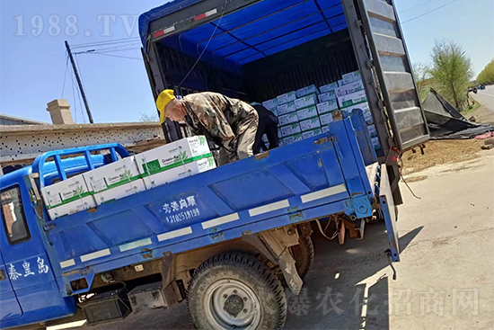 ���N��Ʒ����(sh��)���S��������2̖�l(f��)؛��ͣЪ