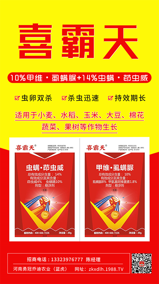 С�˶��������xΣ����̫�y���@����ˎ��һ��һ����!