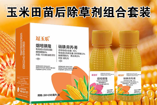 ���׳��݄���ô�������Ч��