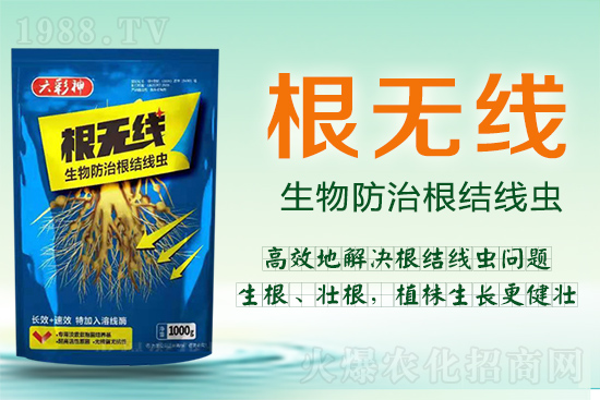 ���Y���x�������ך��^�y���@�ӷ���Ч���õ��@����