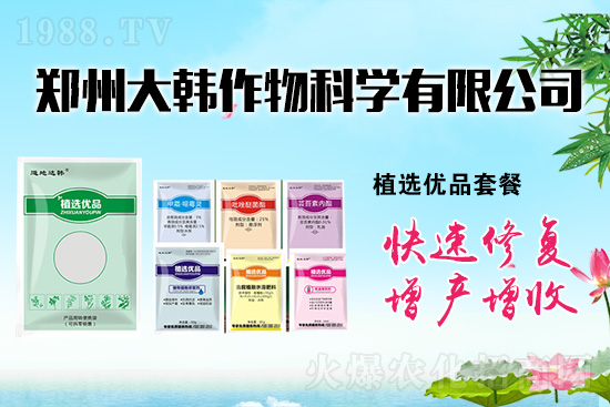 ����ˎ���ʺ��l�l(f��)��ô�k���l(f��)��ˎ���ʺ�����a�ȣ�