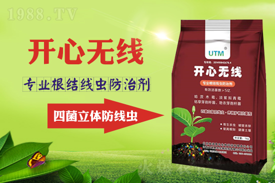 ���Y(ji��)���xΣ���������x������Ҋ�R����