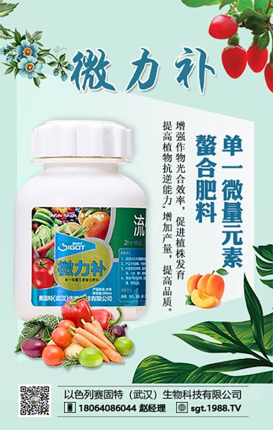 ���ι���С�~���S�~�������������У�