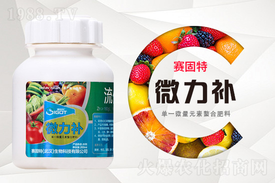 ���ι���С�~���S�~����������������