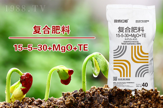 ������2022�괺���������a���gָ����Ҋ