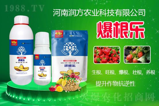     ���ϝ�(r��n)���r(n��ng)�I(y��)�Ƽ����޹�˾��΢�������-������-����ñ���Ɏ���ֲ�ｨ����(qi��ng)�я�(qi��ng)��ĸ�ϵ�����M(j��n)ֲ�(du��)�����B(y��ng)����ˮ���c���w�������������������������������Ѹ����B(y��ng)��������(qi��ng)��������