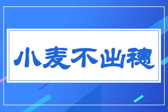 С��������