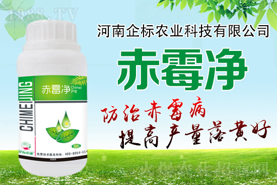 �o�����ѣ�δ��(l��i)ʮ����С����ù�������P(gu��n)�I�ڣ���(w��)��ץ����