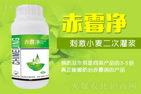 �o�����ѣ�δ��(l��i)ʮ����С����ù�������P(gu��n)�I������(w��)��ץס��