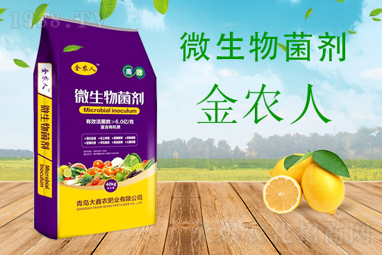 甜瓜枯萎病危害期,怎么有效防治?