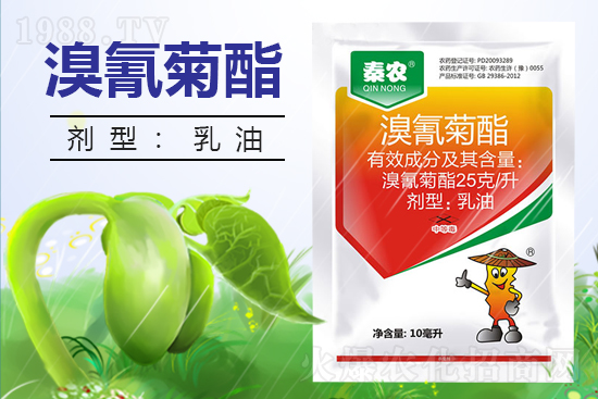 ������ˎ������������߀Ҫ��᣿