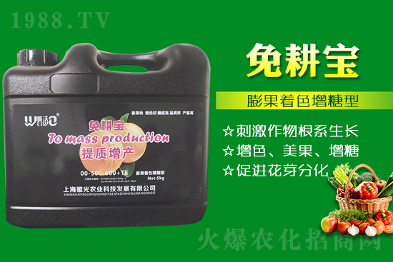 ���Ѵ߼t��ʩ��ô������ʲô���ɣ�