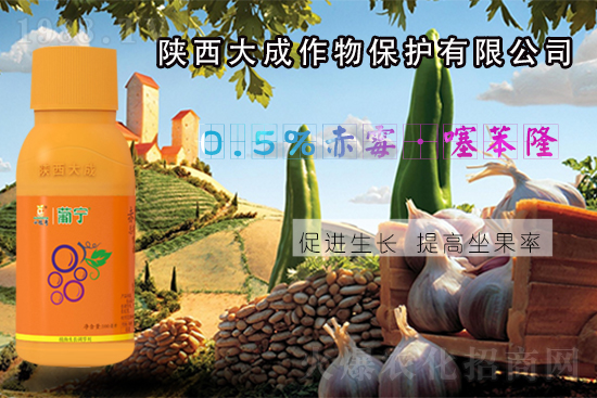 ���������ﱣ�o���޹�˾1