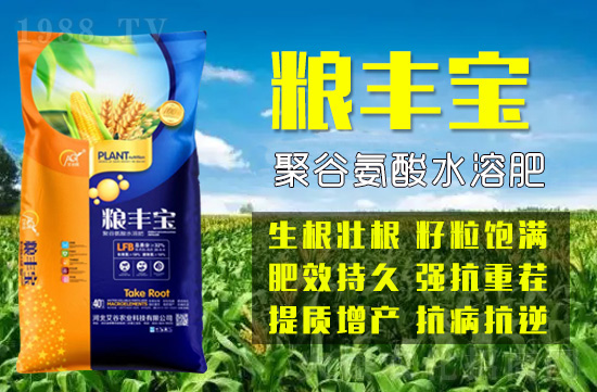 �ӱ������r�I(y��)�Ƽ����޹�˾1