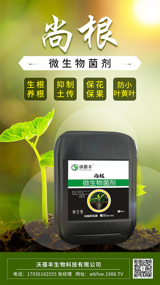 怎么才能讓作物生根壯根呢？這樣做讓作物生根到底！