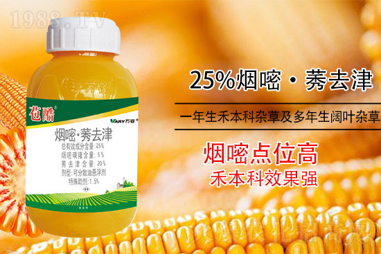 ���׳������e���@�׷N���݄���