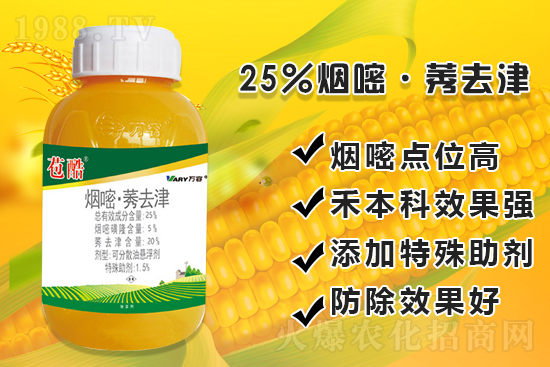 ���׳������e���@�׷N���݄���