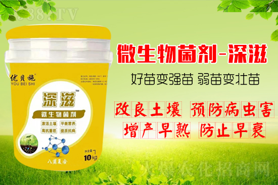 ������α��l(f��)ʽ�������������B(y��ng)�������������