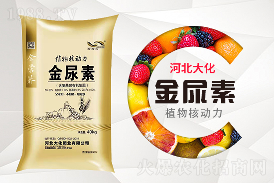 ���ص����ܲ������~�������ô����