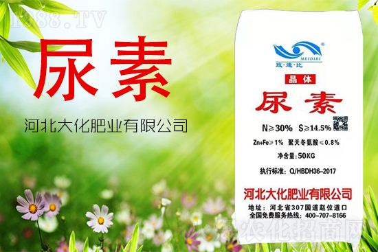 ���ص����ܲ������~�������ô����