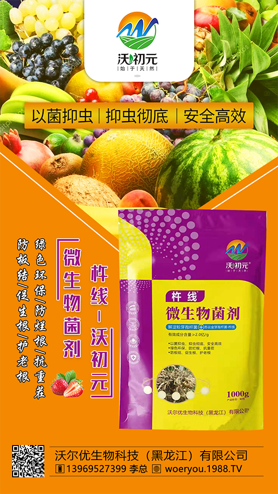 ����ĸ�ϵ���Q������Įa(ch��n)��