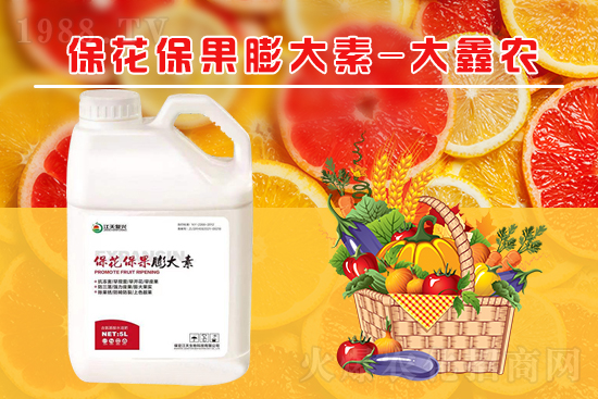 �ļ���������ٲ�������α������