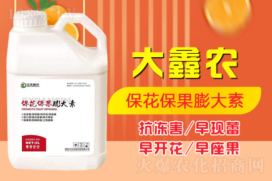 �ļ���������ٲ�������α��������