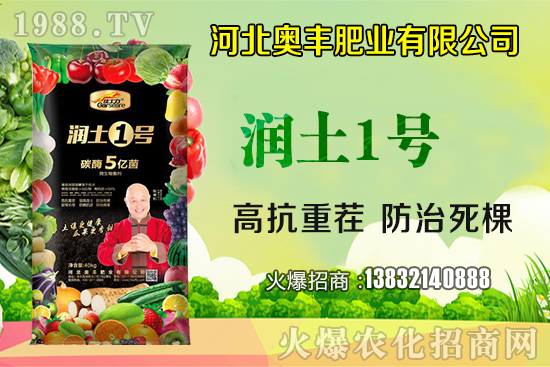 �����ز�