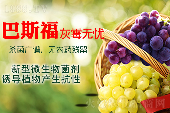 ���ѻ�ù��ԓ��ν�Q����ù����ˎ���h��