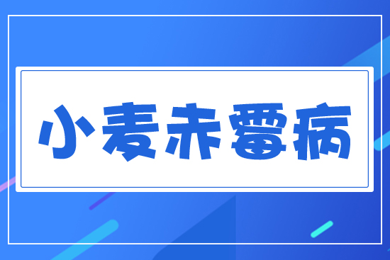 С����ù��