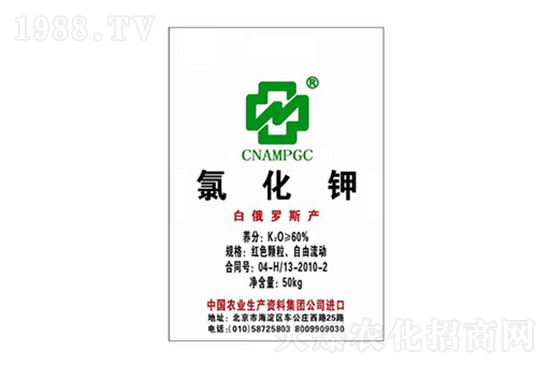 2022.4.6����⛷ʃr�������Ӎ