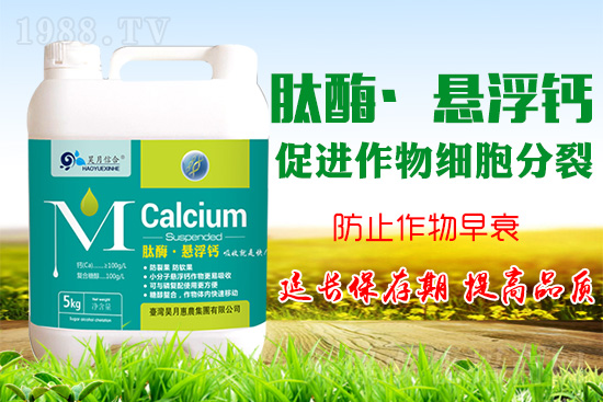 �O(p��ng)����(sh��)�����a(b��)�}���P(gu��n)�I���O(p��ng)���a(b��)�}���Ă�(g��)�`�^(q��)��֪���᣿