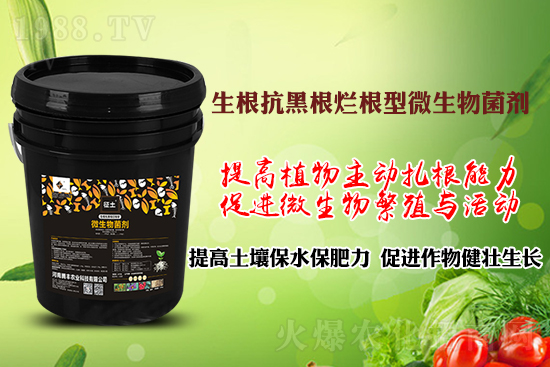 ����ڸ��������S�������l�l(f��)���á������p�ɽ�Q�����f�Nֲ�������ã�