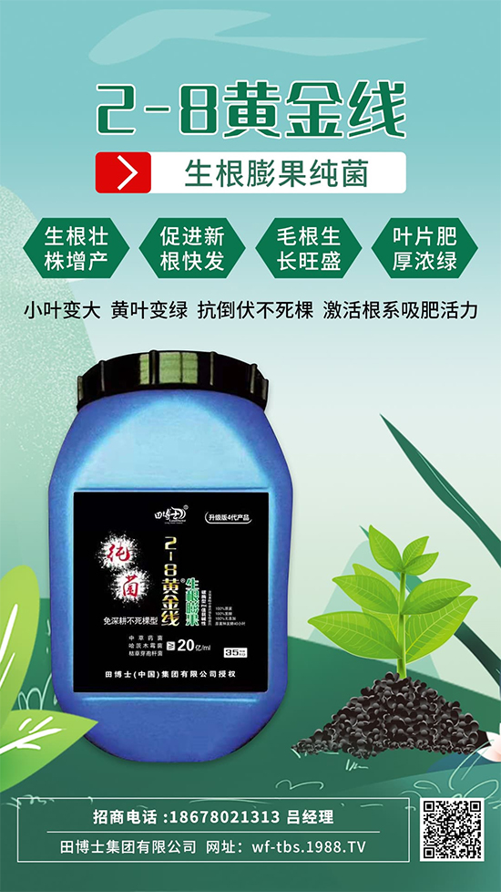 ���Ƿʵ������f�����L(zh��ng)����ϵ�����ﱬ�l(f��)����ԇԇ�@һ��! 