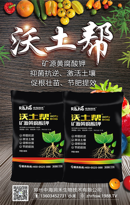 �VԴ�S�������ô�����ŵ���������ܿ���Ч����