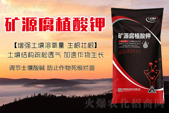 ����Nֲ��������(d��ng)�ׂ��������Ӹ��Ƹ�ϵ��r����