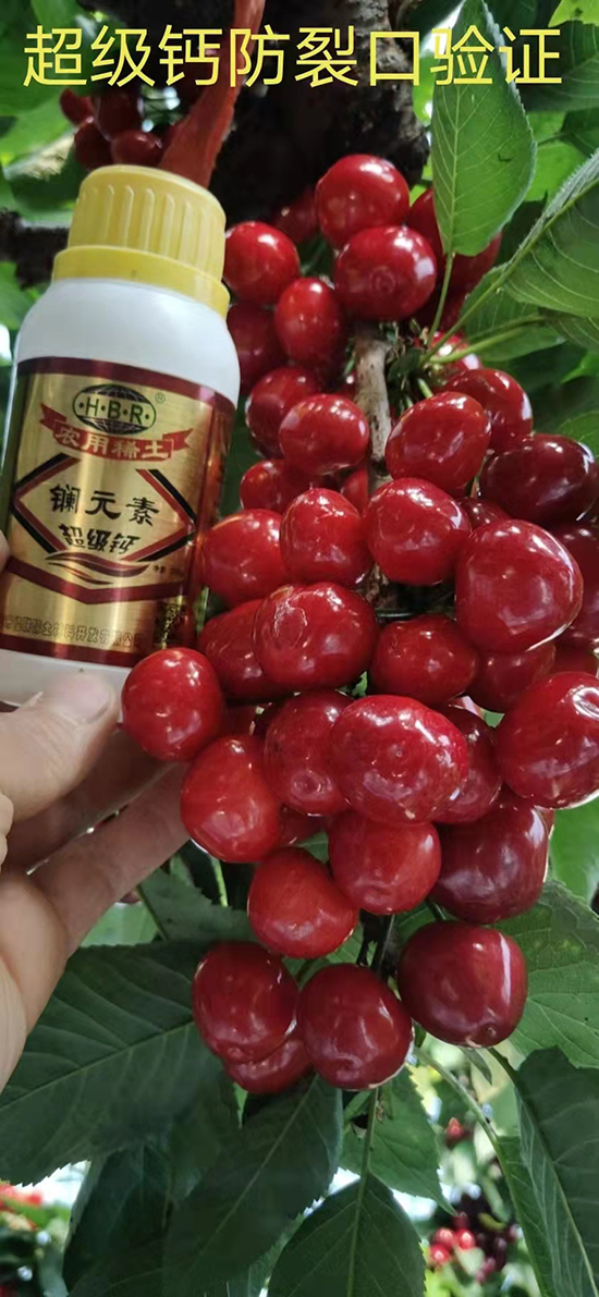 ΢�ňDƬ_20220520080057