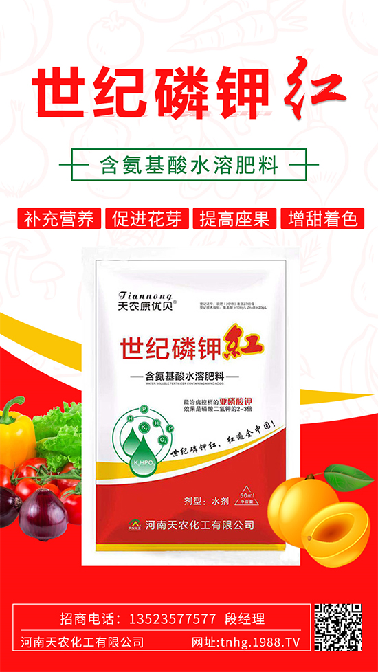 ���������ʲô���������˽����