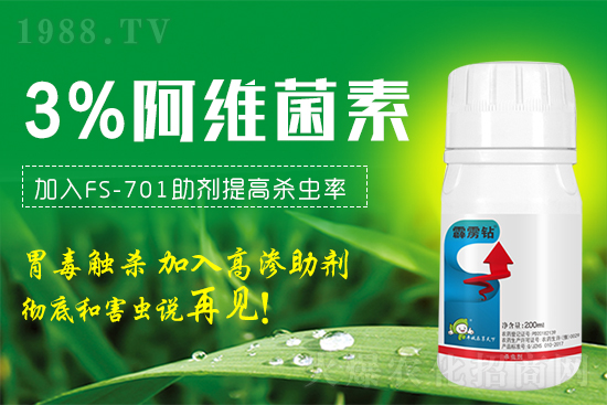 �@���x�����x���t֩�������x�β����������@�����䷽