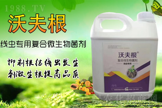 ���Y���x��Ⱦ������������������������Ч����!