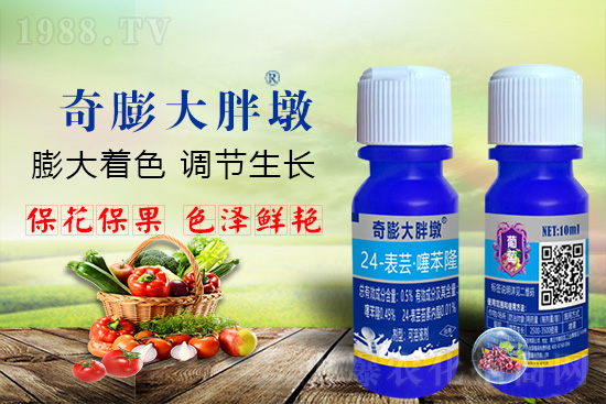     ������Ҫ�߮a(ch��n)��������P(gu��n)�I��������(sh��)���졢�D(zhu��n)ɫ�����u��ѣ����ڵĮa(ch��n)����Ʒ�|(zh��)�����������S��Ĺ��r(n��ng)���r(n��ng)������ӳ�Լҵ���������ס���������������������������������ܛ���չ�����r�l���l(f��)����