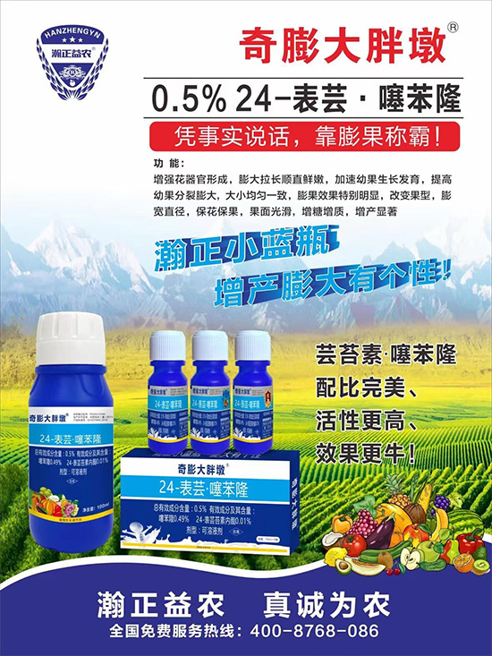     ������Ҫ�߮a(ch��n)��������P(gu��n)�I��������(sh��)�������D(zhu��n)ɫ�����u��������ڵĮa(ch��n)����Ʒ�|(zh��)�����������S��Ĺ��r(n��ng)���r(n��ng)������ӳ�Լҵ���������ס���������������������������������ܛ���չ�����r�l���l(f��)����