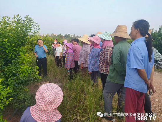 ���M(j��n)���g���^���������ٮa(ch��n)�I(y��)