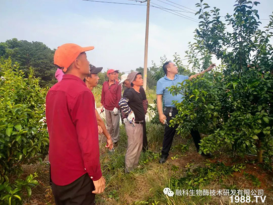 ���M(j��n)���g���^���������ٮa(ch��n)�I(y��)