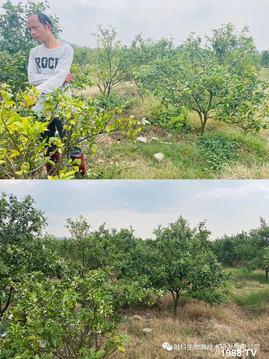 ���M(j��n)���g���^���������ٮa(ch��n)�I(y��)