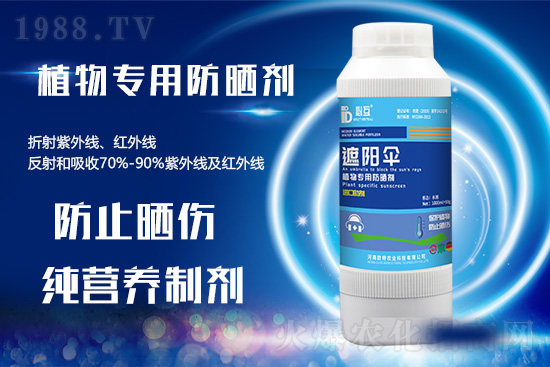 �ߜ������u������������E�[���쿴�������ˆ�? 