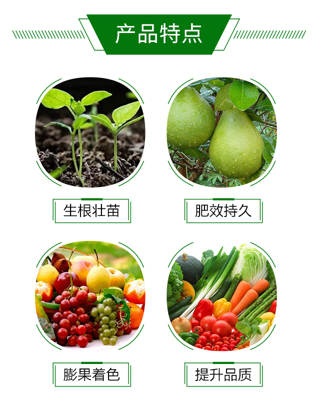 ������-���_�r(n��ng)�I(y��)_03