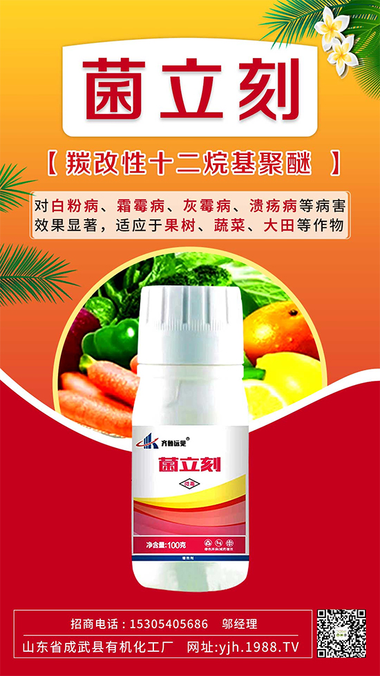 ����˪ù��߀�ǰ׷۲����e��ɵɵ�ֲ���������ηֱ漰������