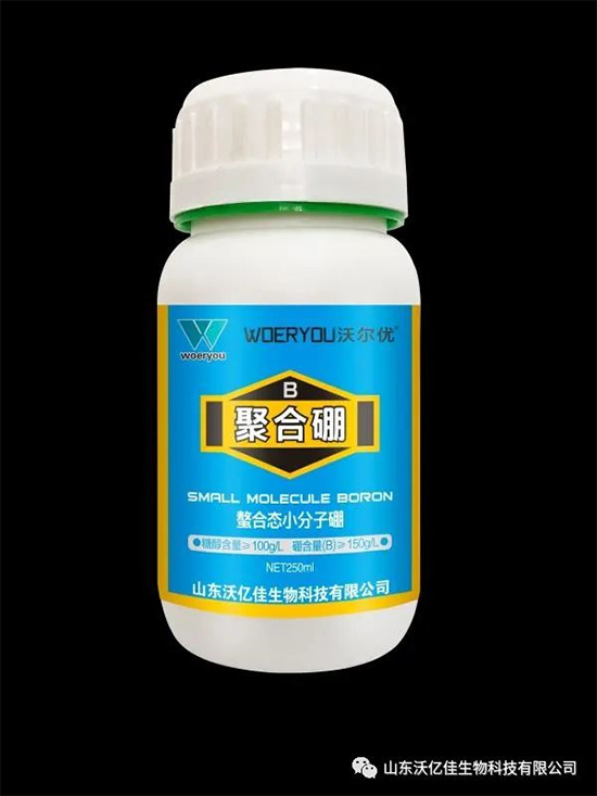 ɽ�|�փ|������Ƽ����޹�˾